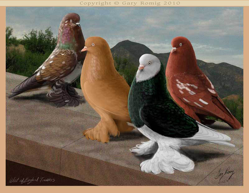 West Englands on the Pigeon art by Gary Romig