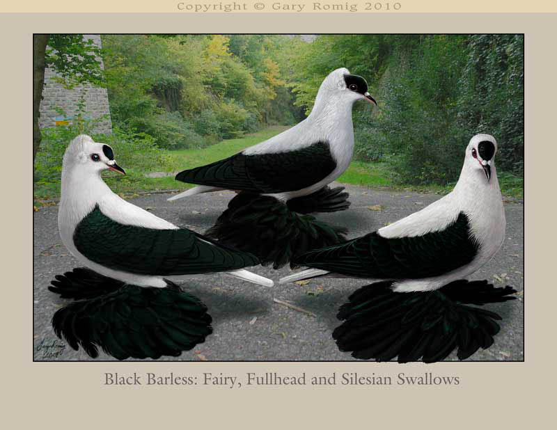 Barless Blacks