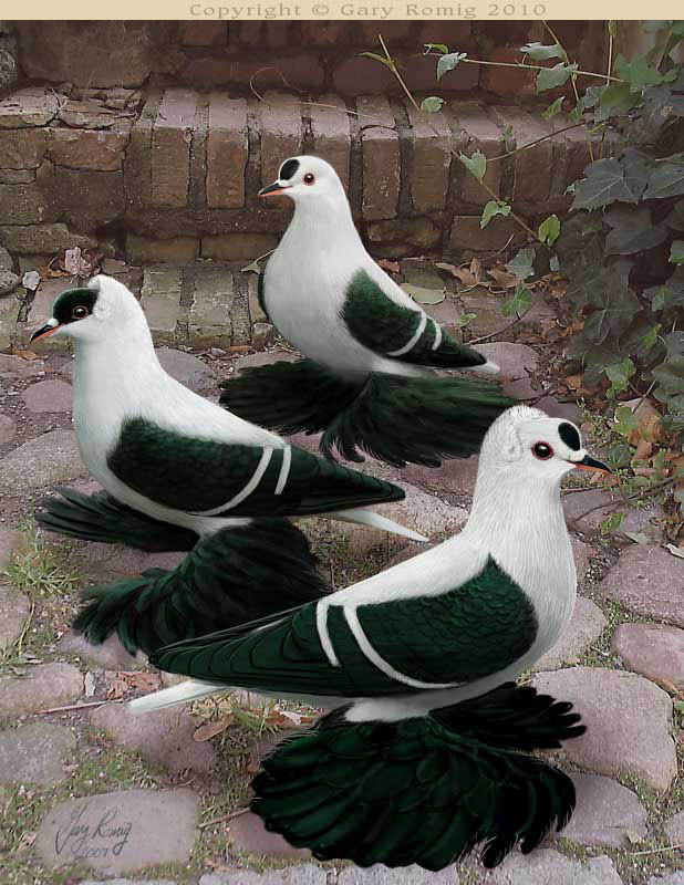 Griebels